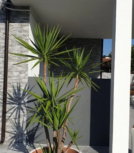 Un Passo Dal Mare Marina Nocleg ze śniadaniem San Salvo