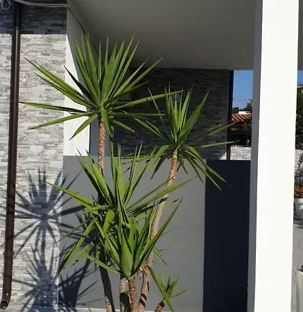 Un Passo Dal Mare Marina Bed & Breakfast San Salvo